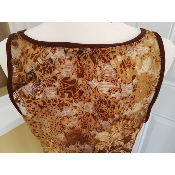 LM Lingerie Sears Sheer Nightgown - Picture 10 of 15